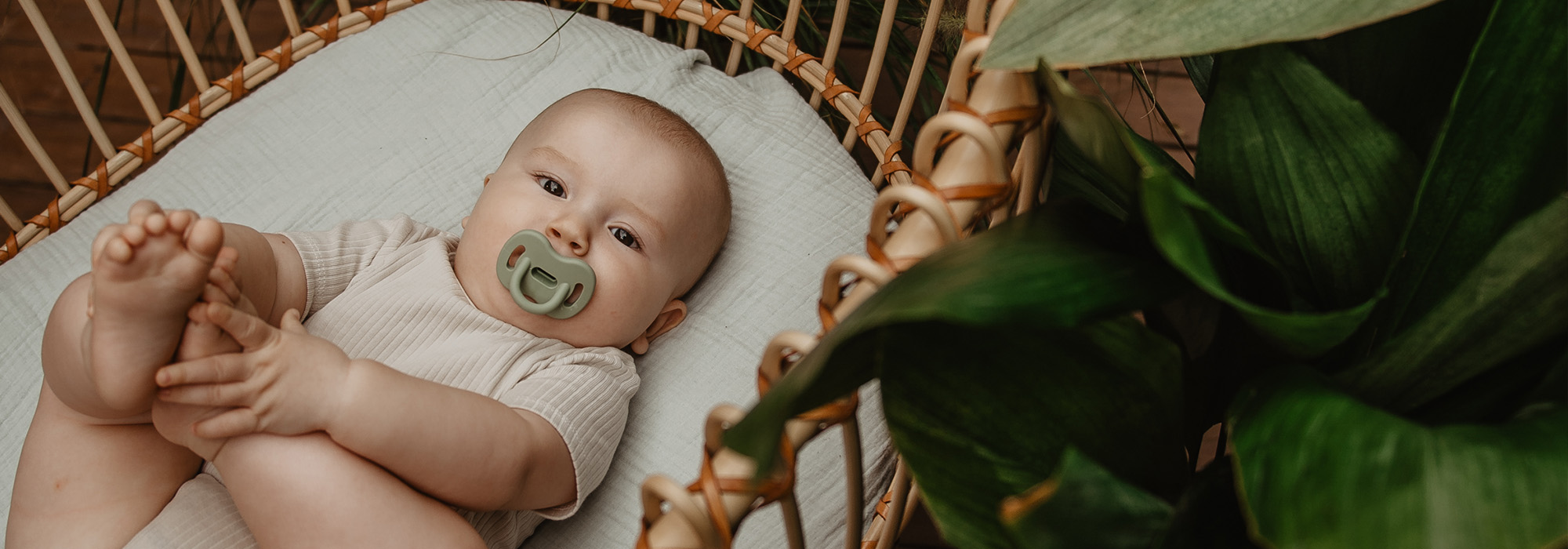 Kategorie Dudlíky Celosilikonové